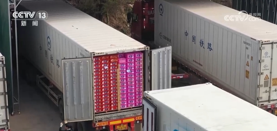多组数据见证中国进出口“开门红” 中国经济展现澎湃动能(图2) 多组数据见证中国进出口“开门红” 中国经济展现澎湃动能(图2)