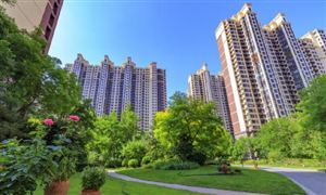 多晶硅行业市场深度调研2024(图4) 多晶硅行业市场深度调研2024(图4)