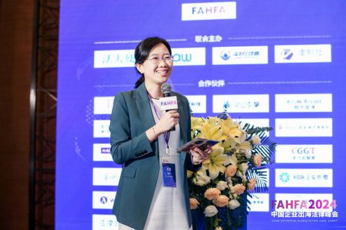 FAHFA 2024中国企业出海法律峰会于上海圆满落幕(图4) FAHFA 2024中国企业出海法律峰会于上海圆满落幕(图4)