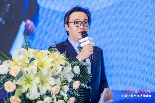 FAHFA 2024中国企业出海法律峰会于上海圆满落幕(图13) FAHFA 2024中国企业出海法律峰会于上海圆满落幕(图13)