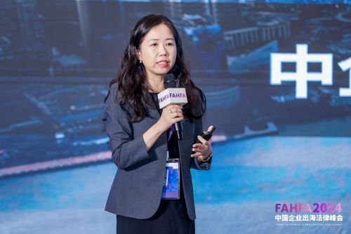 FAHFA 2024中国企业出海法律峰会于上海圆满落幕(图14) FAHFA 2024中国企业出海法律峰会于上海圆满落幕(图14)